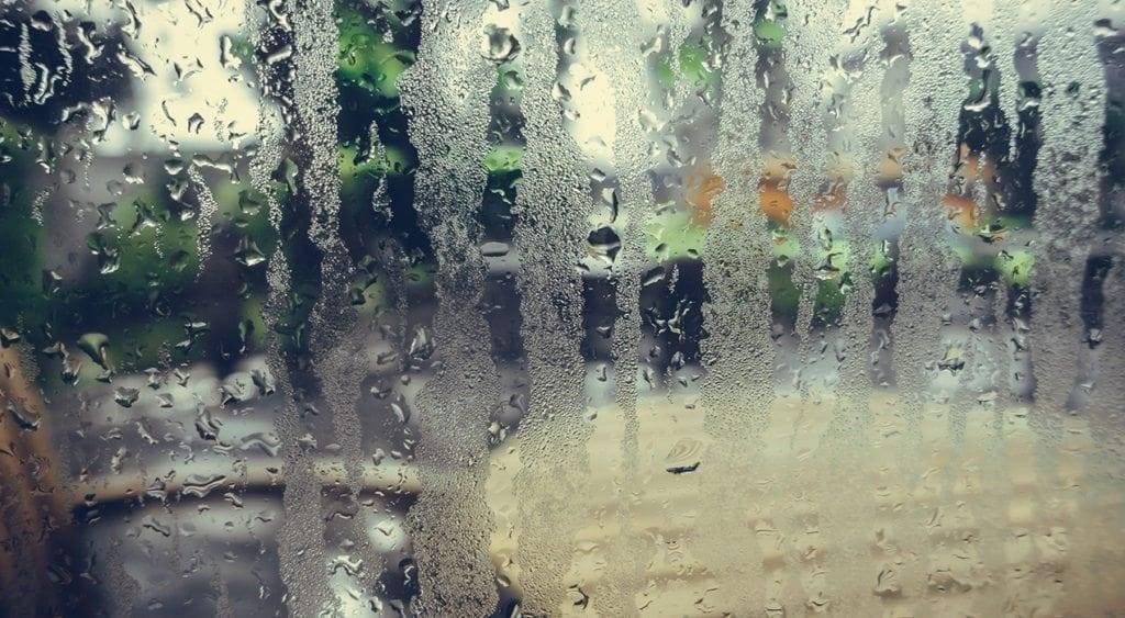 Hooray for Humidity - Rethink Beautiful