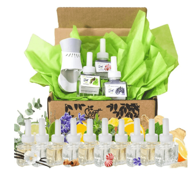 NonToxic Scents to Use in Your Home Rethink Beautiful